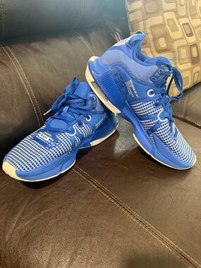 Men’s size 10 LeBron witness 7 Basketball shoes